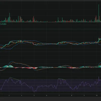 11일차 미션 rsi 다이버젼스