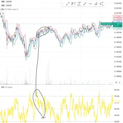 11일차 다이버전스