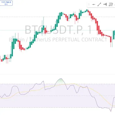 [30일 챌린지 34기 2주차] RSI (상대 강도 지수)