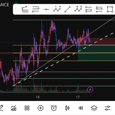 100회 트레이딩 11/100