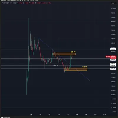 비트코인 신고가 기념 알트코인 원화 트레이딩