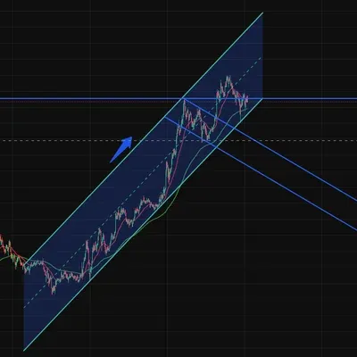  [30일 챌린지 35기 1주차] 