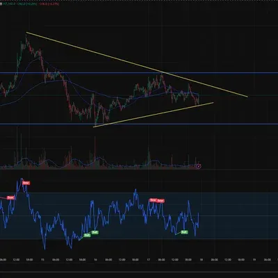 [30일 챌린지 11기 1주차]