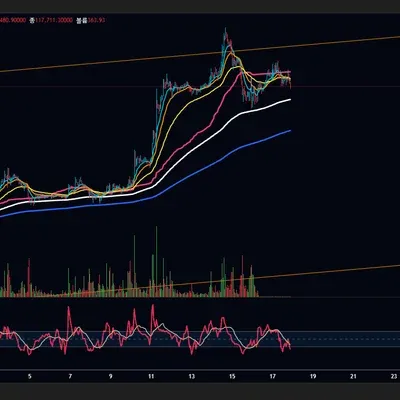  [30일 챌린지 11기 1주차]