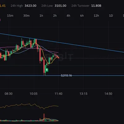 100회 트레이딩 12/100