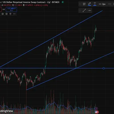 [30일 챌린지 35기 1주차]