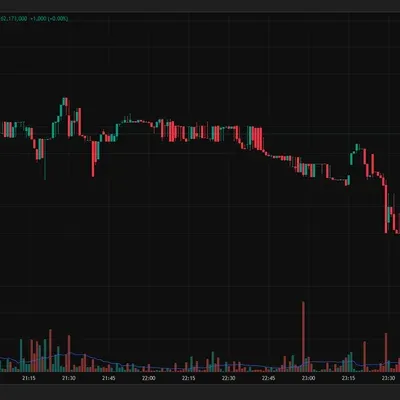 [30일 챌린지 11기 1주차] 트레이딩뷰 셋업