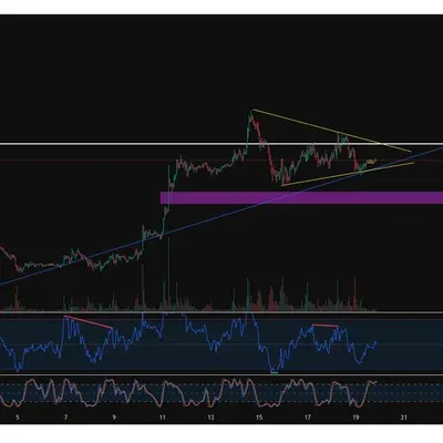 30일 챌린지 11기 1주차
