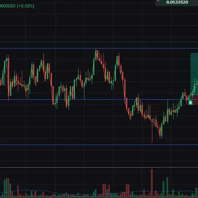 100회 트레이딩 14/100