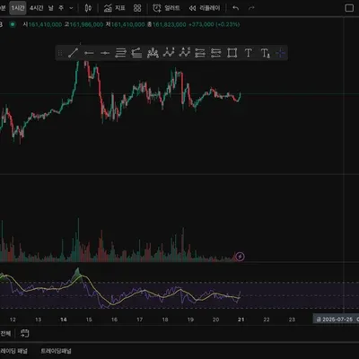 [30일 챌린지 11기 1주차] 나만의 트레이딩뷰 셋업