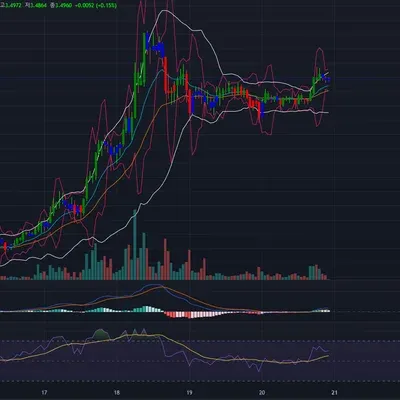 [30일 챌린지 11기 1주차]