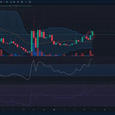 30일 챌린지 34기 3주차