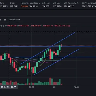 [30일 챌린지 34기 4주차]