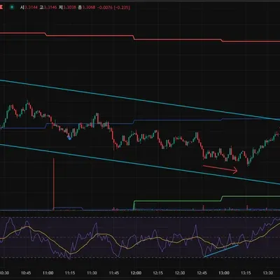 30일 챌린지 11기 2주차 RSI 다이버전스