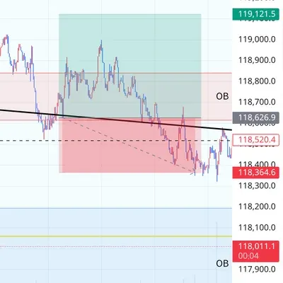 100회 트레이딩 챌린지 (17/100)