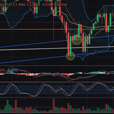 [30일 챌린지 10기 4주차] 매매일지