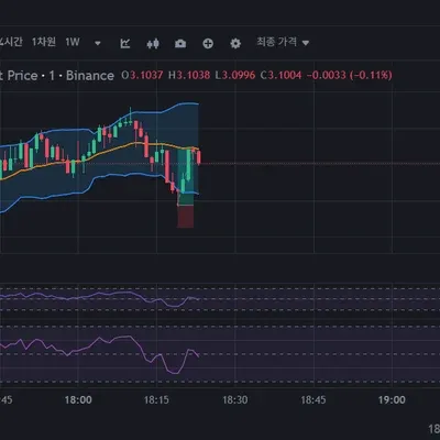 [30일 챌린지 34기 4주차]