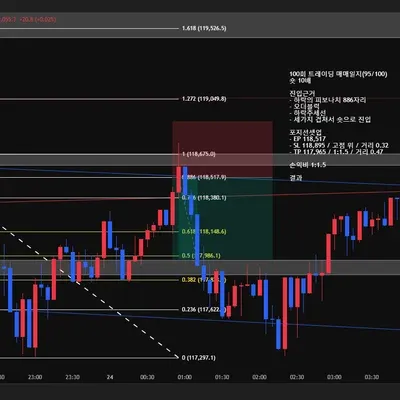 100회 트레이딩 매매일지(95/100)