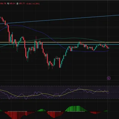 [30일 챌린지 10기 4주차]