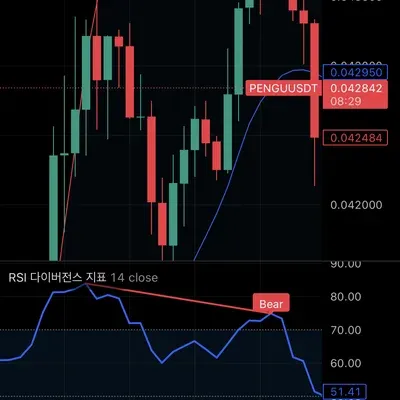[30일 챌린지 11일차 미션] RSI 다이버저스 구간 체크
