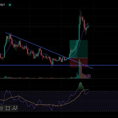 30일 챌린지 10기 4주차