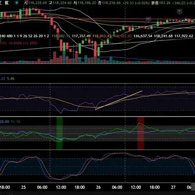  11일차 미숑 과제_다이버젼스 작도