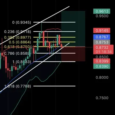 [30일 챌린지 34기 4주차] 
