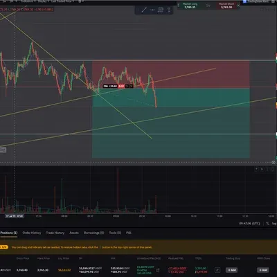 [30일 챌린지 34기 4주차]