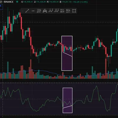 [30일 챌린지 11기] 다이버전스 구간 