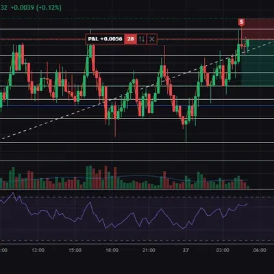 100회 트레이딩 15/100 