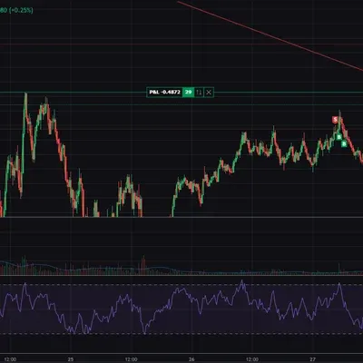 100회 트레이딩 17/100