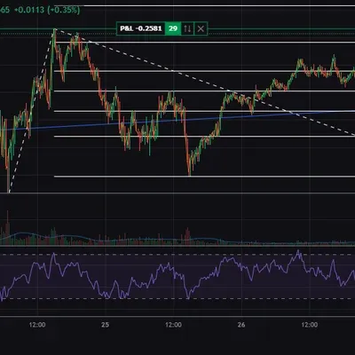 100회 트레이딩 16/100