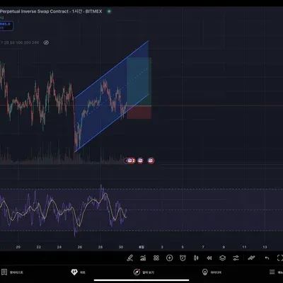초비- 매매일지 #1