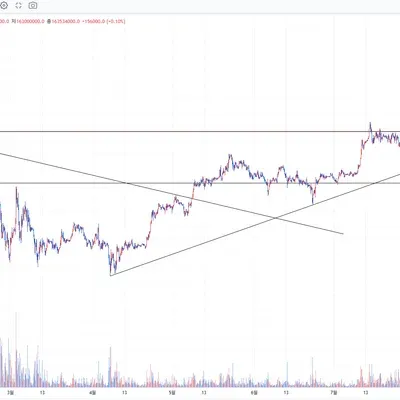[30일 챌린지 36기 1주차] 지지,저항 추세선 긋기