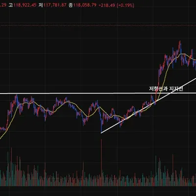 [30일 챌린지 36기 1주차] 지지 저항과 추세선