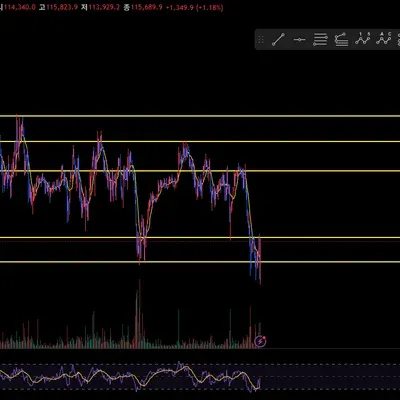 [30일 챌린지 35기 3주차]