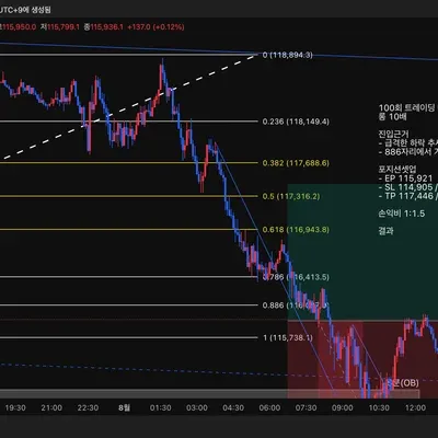 100회 트레이딩 매매일지(99/100)