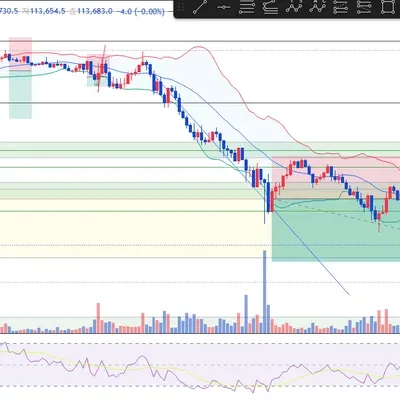 100회 챌린지(13/100) 5승 8패