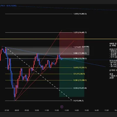 100회 트레이딩 매매일지(100/100)