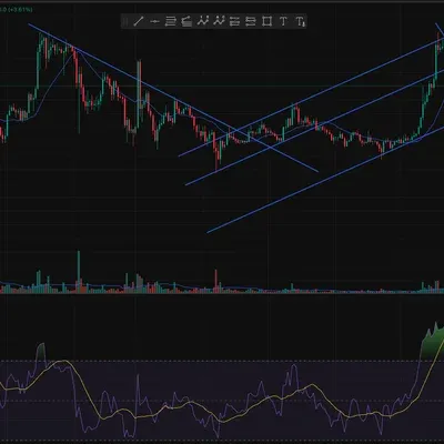 [30일 챌린지 35기 3주차]