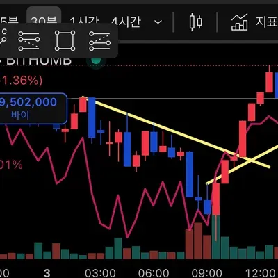 [30일 챌린지 36기 1주차] 미션 (DHl)
