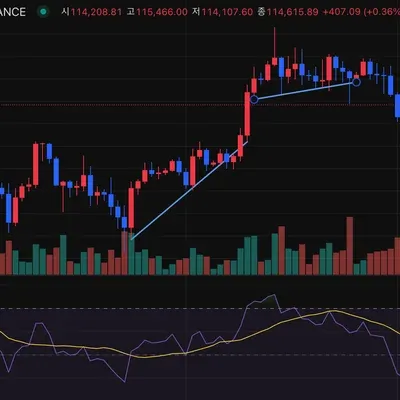 [30일 챌린지 36기 1주차] 작도