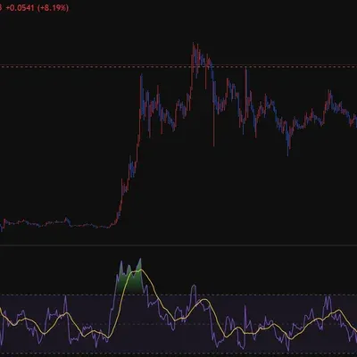 [30일 챌린지 36기 2주차]