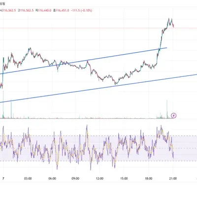 [30일 챌린지 36기 2주차] 