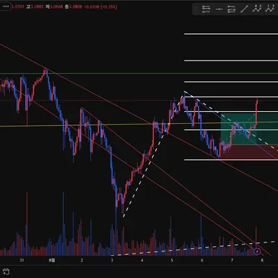 100회 트레이딩 23/100