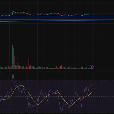 [30일 챌린지 36기 2주차]