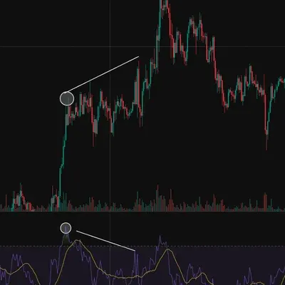 [30일 챌린지 11주차 미션] 다이버전스