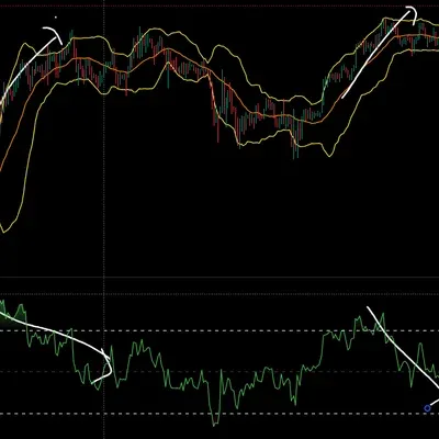 11주차 미션 다이버전스