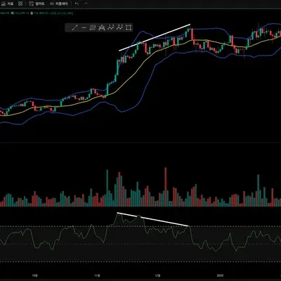 11주차 미션 다이버전스