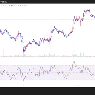30일 챌린지 36기 2주차